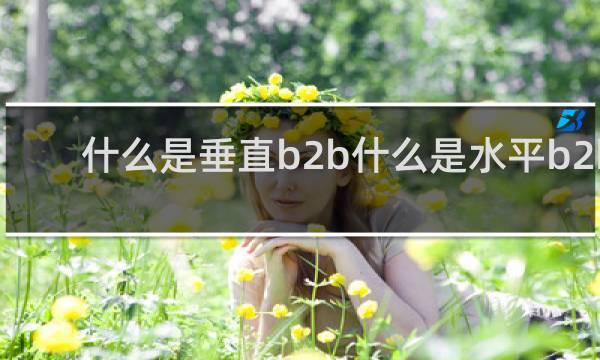 什么是垂直b2b什么是水平b2b