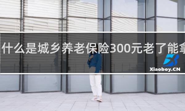 什么是城乡养老保险300元老了能拿多少