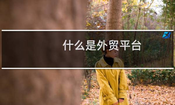 什么是外贸平台