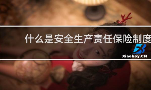 什么是安全生产责任保险制度