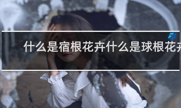 什么是宿根花卉什么是球根花卉