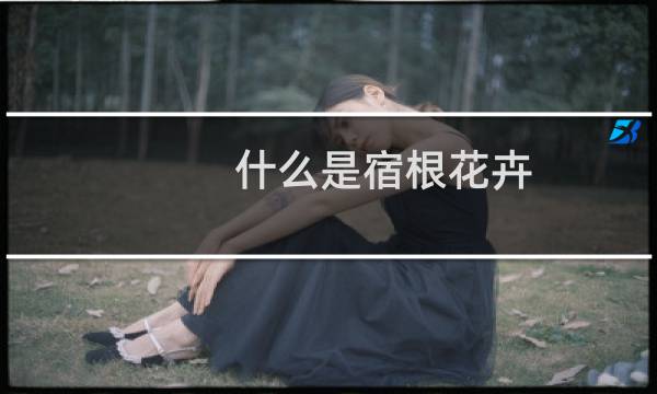 什么是宿根花卉