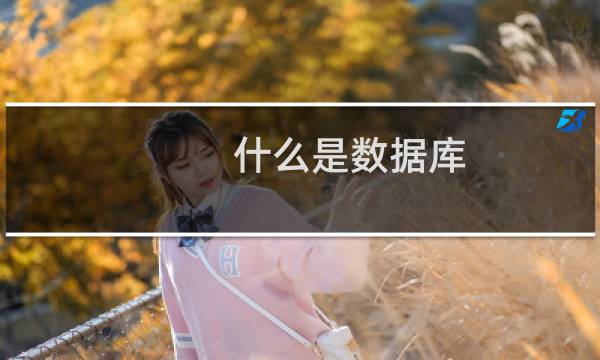 什么是数据库?