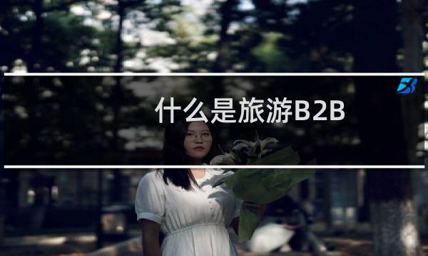 什么是旅游B2B