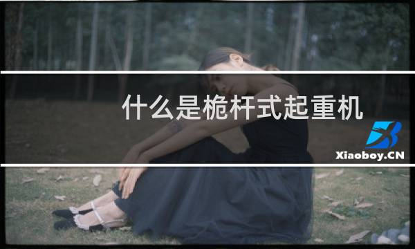 什么是桅杆式起重机