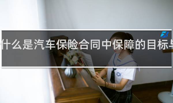 什么是汽车保险合同中保障的目标与实体
