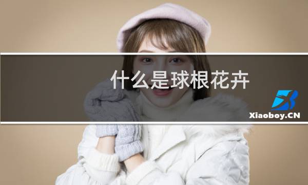 什么是球根花卉
