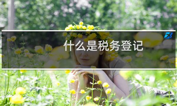 什么是税务登记