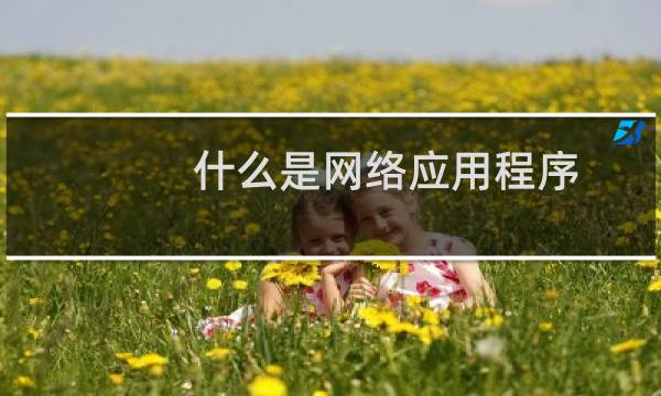 什么是网络应用程序