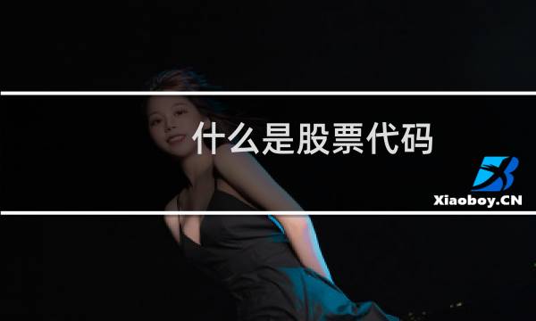 什么是股票代码