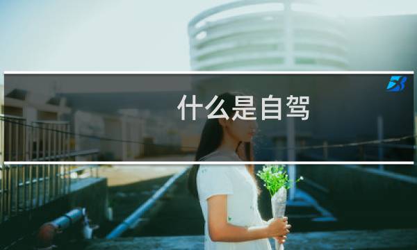 什么是自驾
