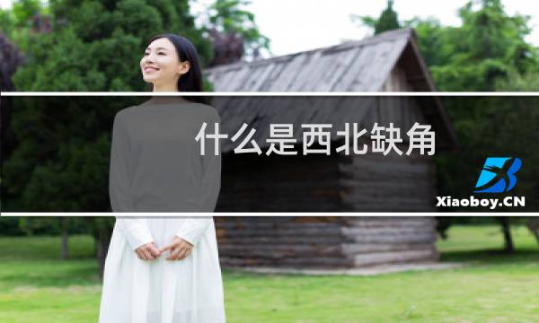什么是西北缺角