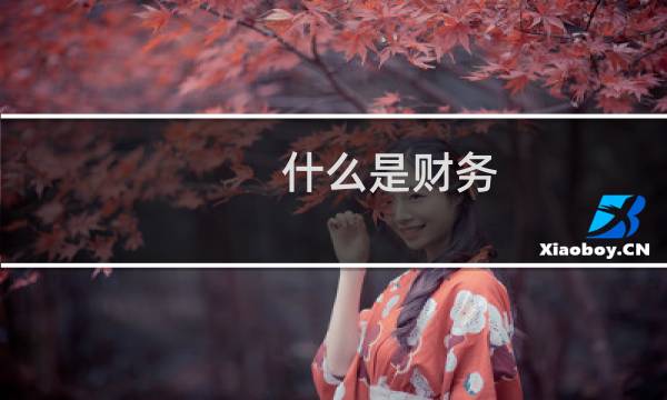 什么是财务