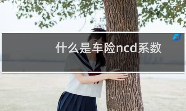 什么是车险ncd系数