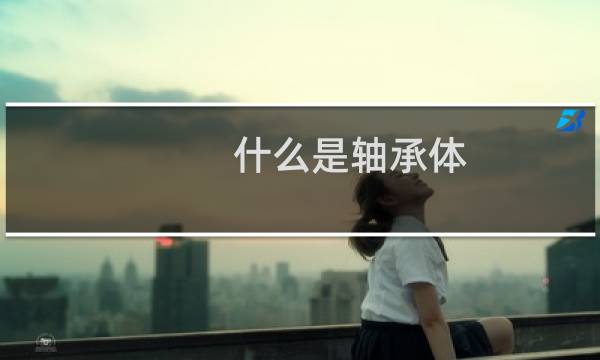什么是轴承体