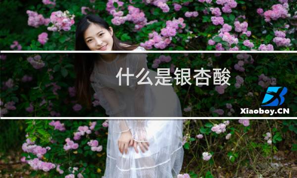 什么是银杏酸