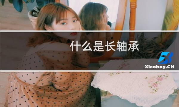 什么是长轴承