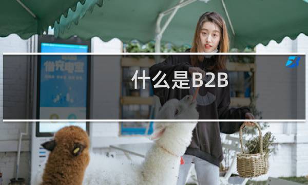 什么是B2B B2B的运营特点