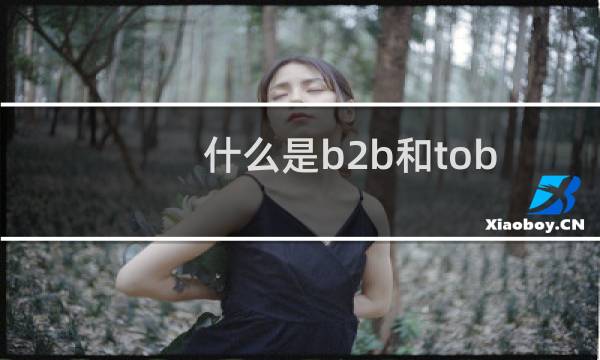 什么是b2b和tob