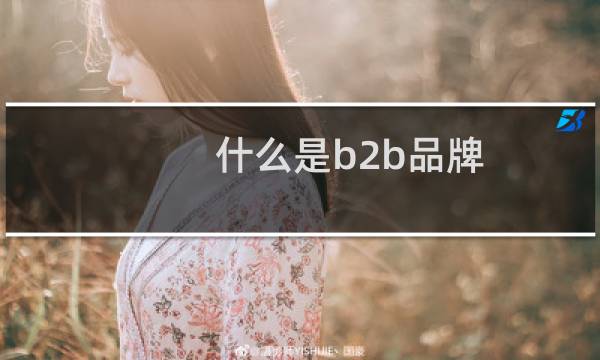什么是b2b品牌