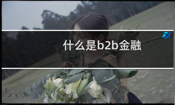 什么是b2b金融