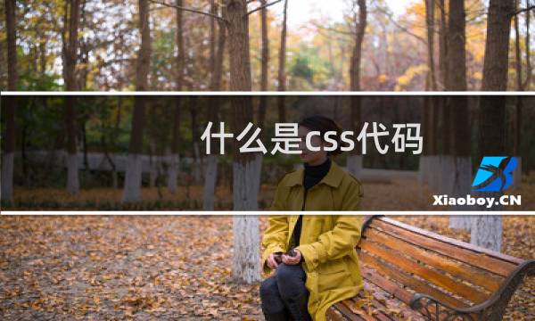 什么是css代码
