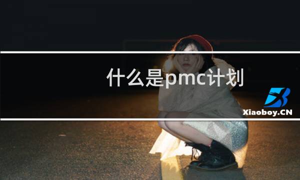 什么是pmc计划