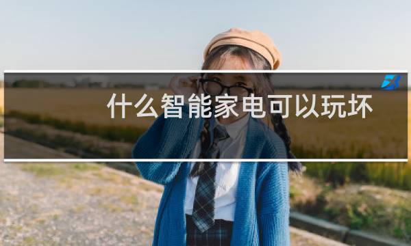 什么智能家电可以玩坏