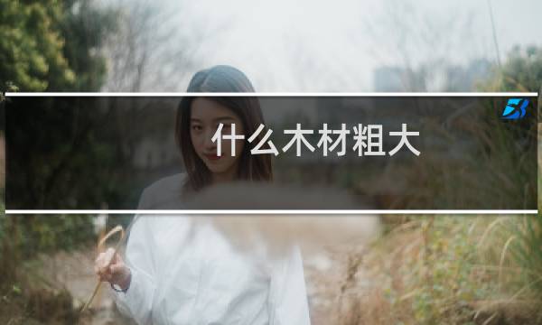 什么木材粗大
