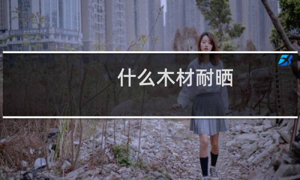 什么木材耐晒