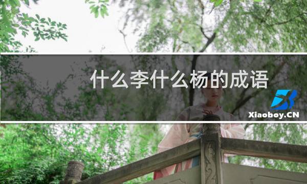 什么李什么杨的成语