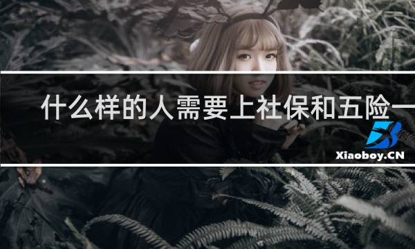什么样的人需要上社保和五险一金