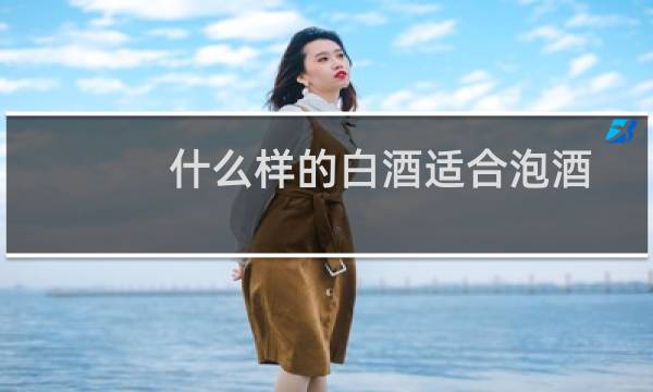 什么样的白酒适合泡酒
