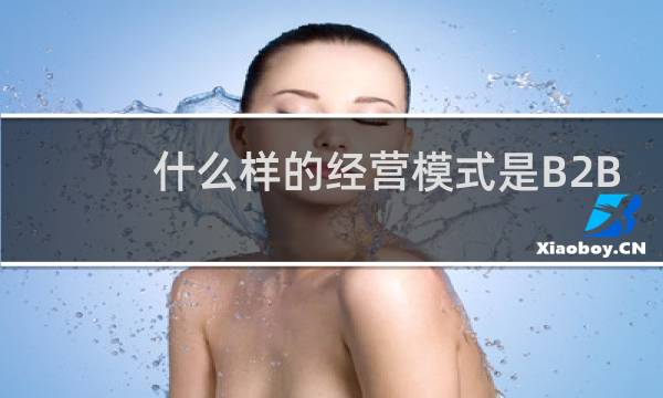 什么样的经营模式是B2B