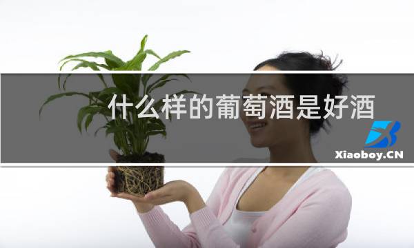 什么样的葡萄酒是好酒