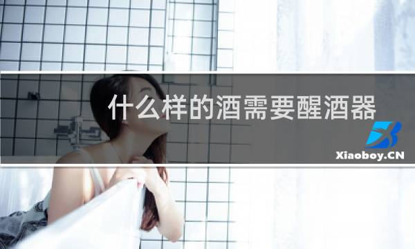 什么样的酒需要醒酒器