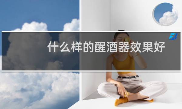 什么样的醒酒器效果好