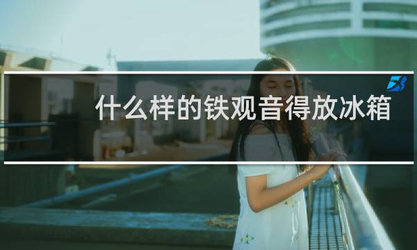 什么样的铁观音得放冰箱