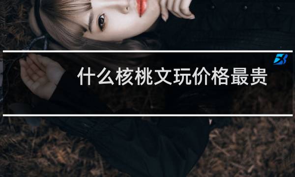 什么核桃文玩价格最贵
