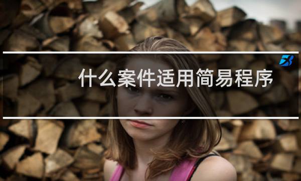 什么案件适用简易程序