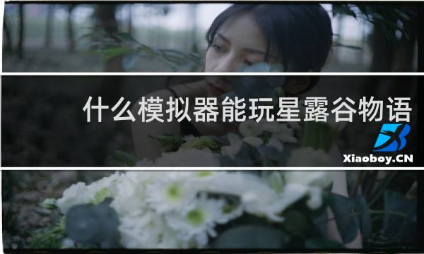 什么模拟器能玩星露谷物语