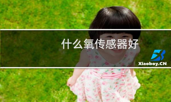 什么氧传感器好