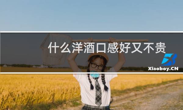 什么洋酒口感好又不贵