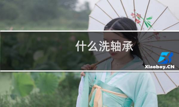 什么洗轴承