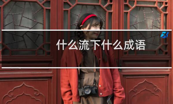 什么流下什么成语