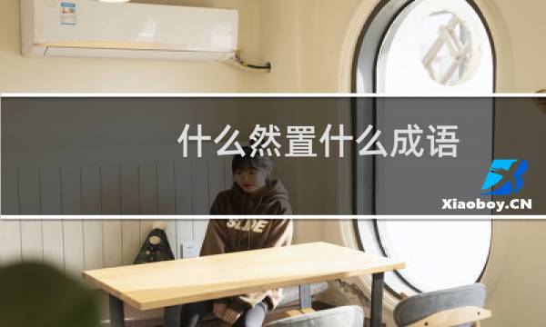 什么然置什么成语