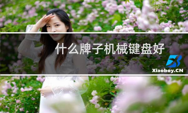 什么牌子机械键盘好
