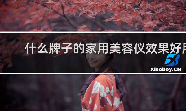 什么牌子的家用美容仪效果好用