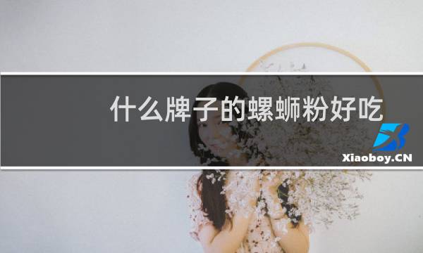 什么牌子的螺蛳粉好吃