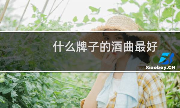 什么牌子的酒曲最好